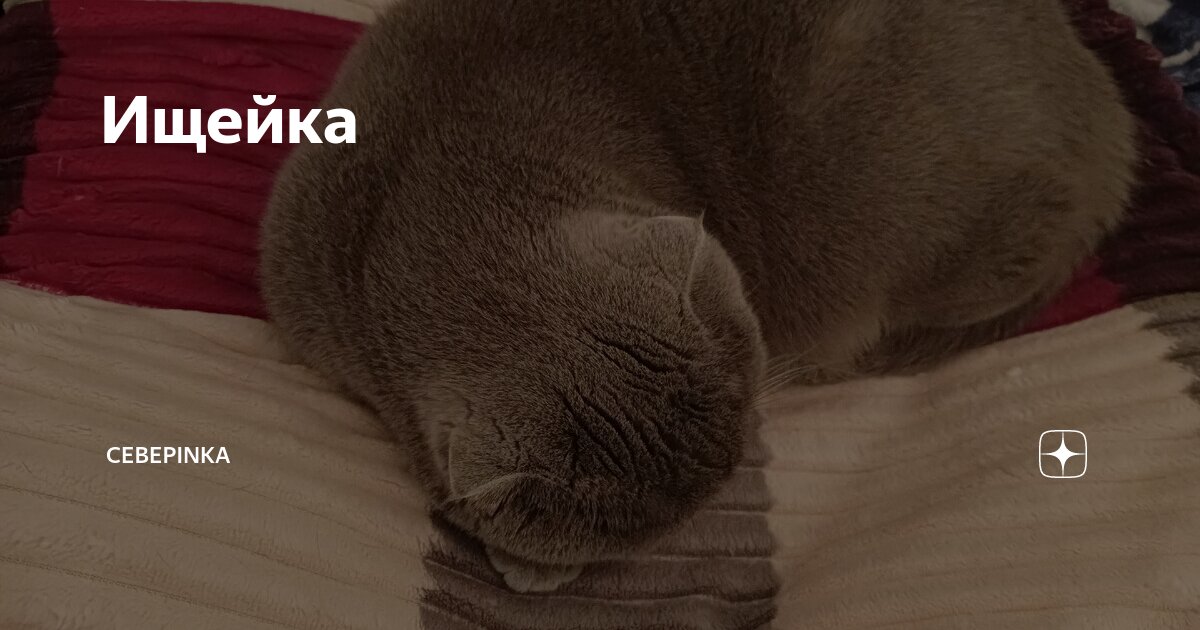 Спи моё солнышко текст песни. Спокойной ночи сладких снов солнышко. Спи мое солнце усни. Спи моя радость в доме погасли огни. Спи мое солнце усни.