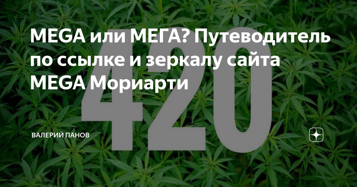 красивые казашки. пароль от аккаунта. Trx крипта. красивые азиатские девушки селфи. казахская девушка с большой.