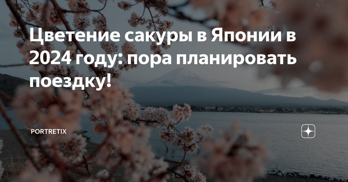 Где посмотреть на цветение сакуры в Санкт-Петербурге