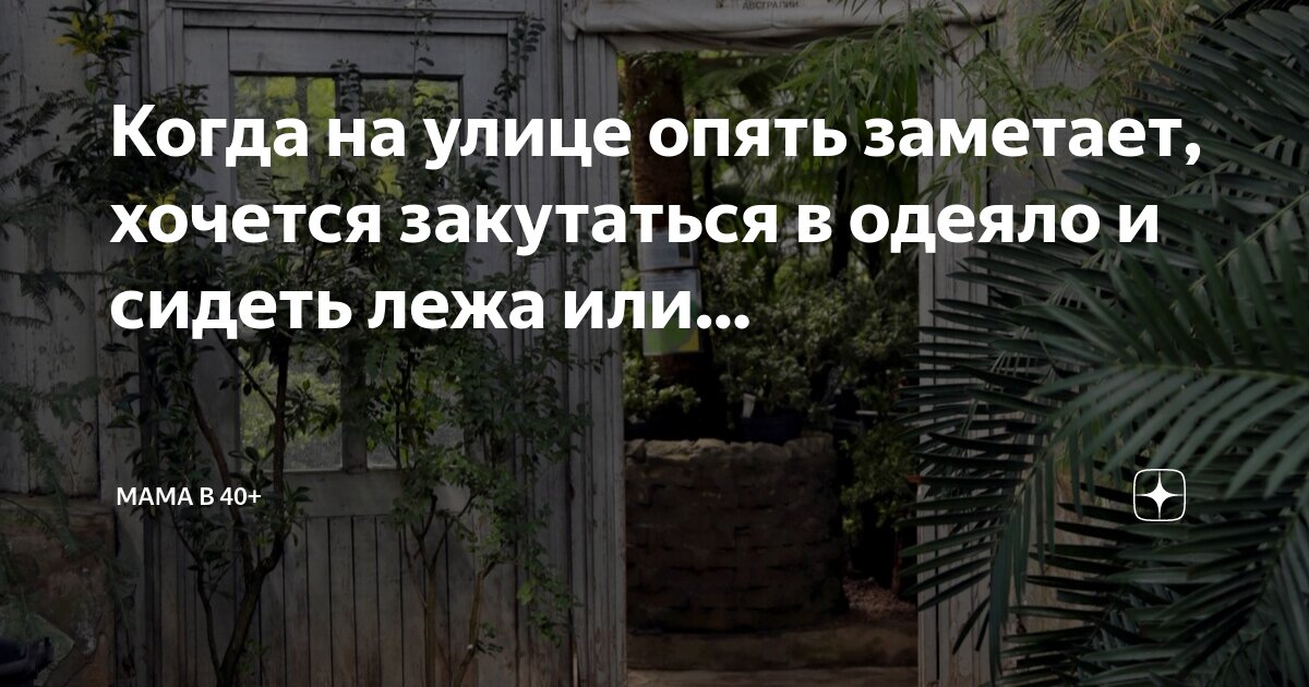 одеяло тедди аскона. я лежал укутавшись в свой краешек одеяла. одеяло. дневник бриджит джонс фильм 2001. человек укутался в одеяло.