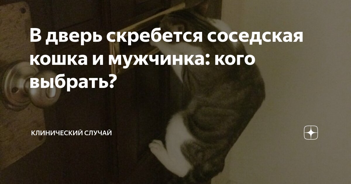 скрестись под дверью. кот ломится в дверь. кот ломится в дверь. кошка скребет дверь. дверь для кота.