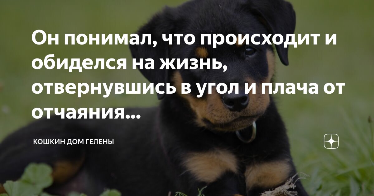 я люблю тебя даже если ты отвернешься. рядом с любимым человеком цитаты. спасибо что рядом цитаты. ты отвернулась от меня. цитаты любимому человеку.