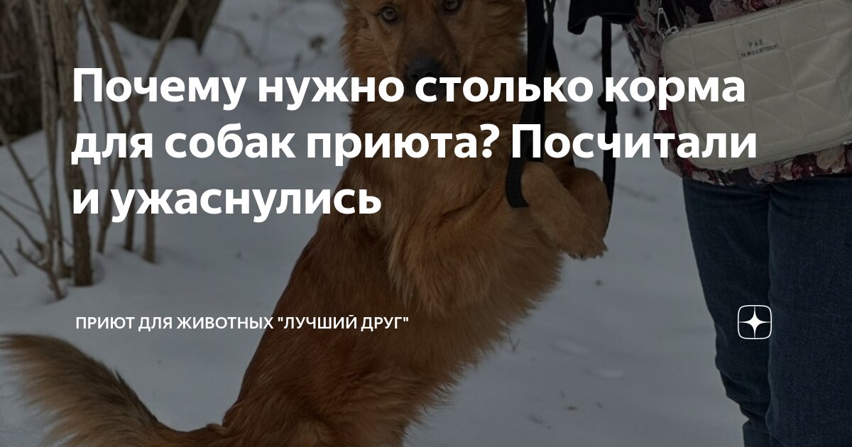 Скрыть друзей в инстаграме от других. Не отображаются подписчики в вк. Скрыть подписчиков. Почему в вк не видно подписчиков. Как сделать в вк чтобы были видны мои подписчики.