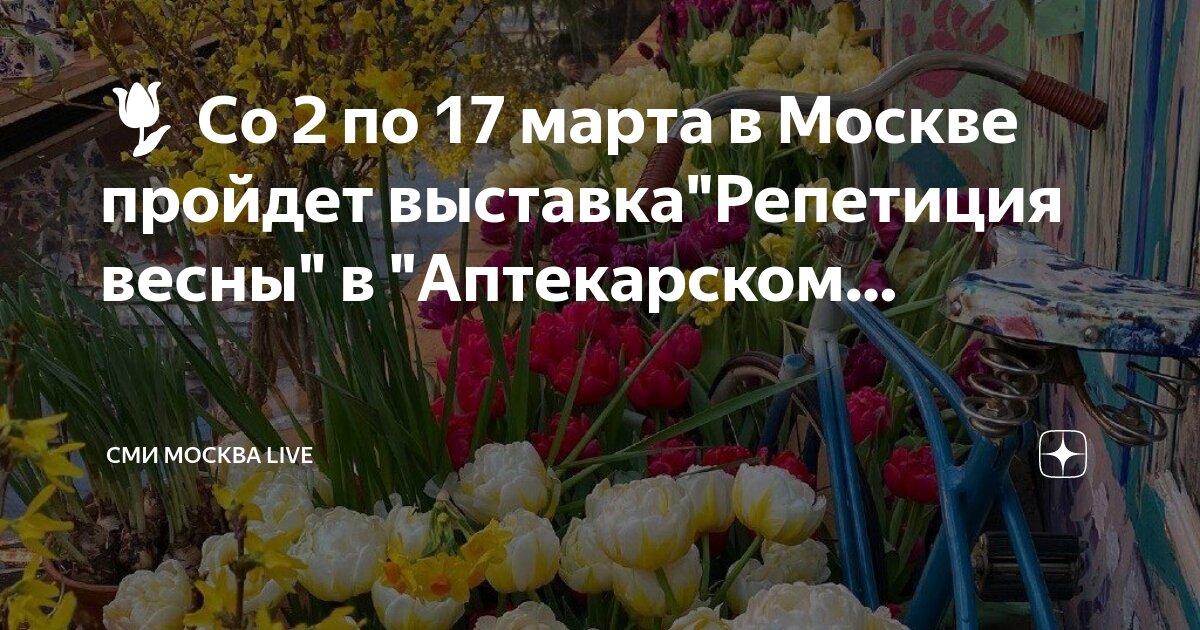 аптекарский огород выставка тюльпанов. аптекарский огород весной. аптекарский огород тюльпаны. аптекарский огород выставка тюльпанов. репетиция весны в ботаническом саду мгу.