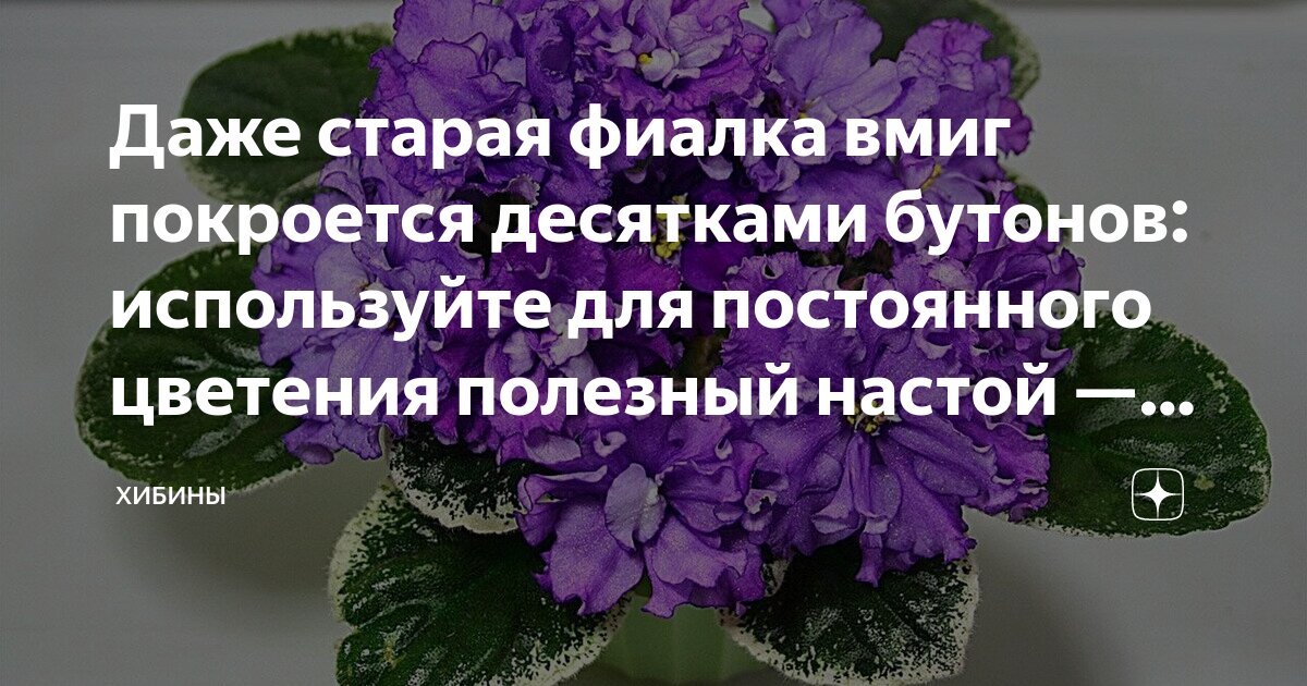 Заморозки на сахалине. Заброшенная китайская деревня хутуван. Покрылся инеем. Пустыня анза боррего калифорния. Деревня хоутоувань.