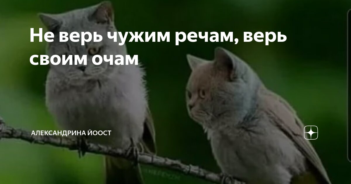 Не верь чужим