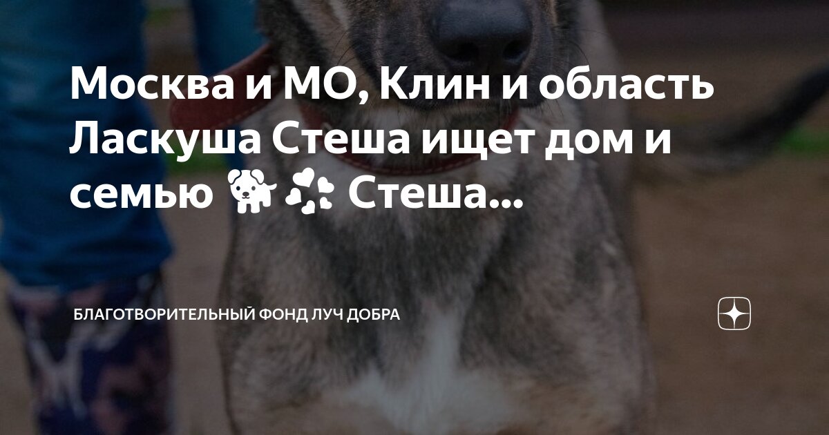 Логотип благотворительного фонда. Реклама благотворительного фонда. Рука помощи благотворительный фонд. Край добра фонд. Благотворительный фонт.