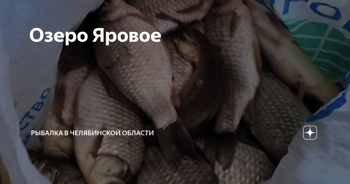 Озеро яровое курганская область на карте: найдено 85 картинок