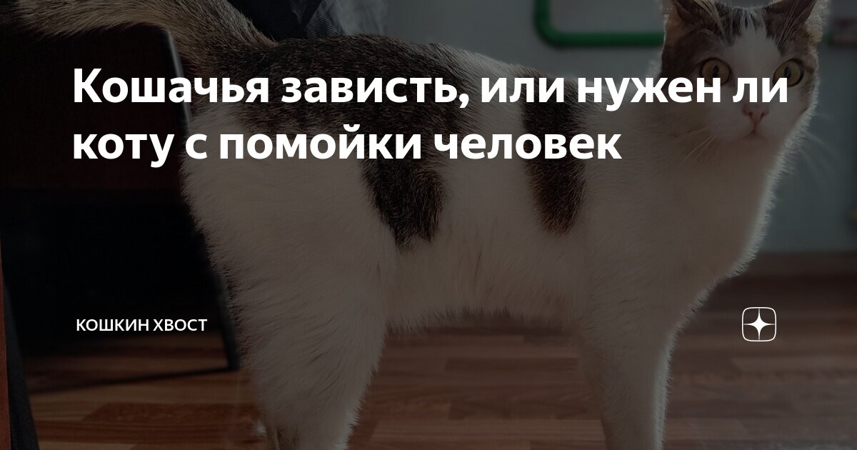 чуковский кошкин дом. детская кошкина. детская кошкина. кошкин дом иллюстрации к сказке. книга.