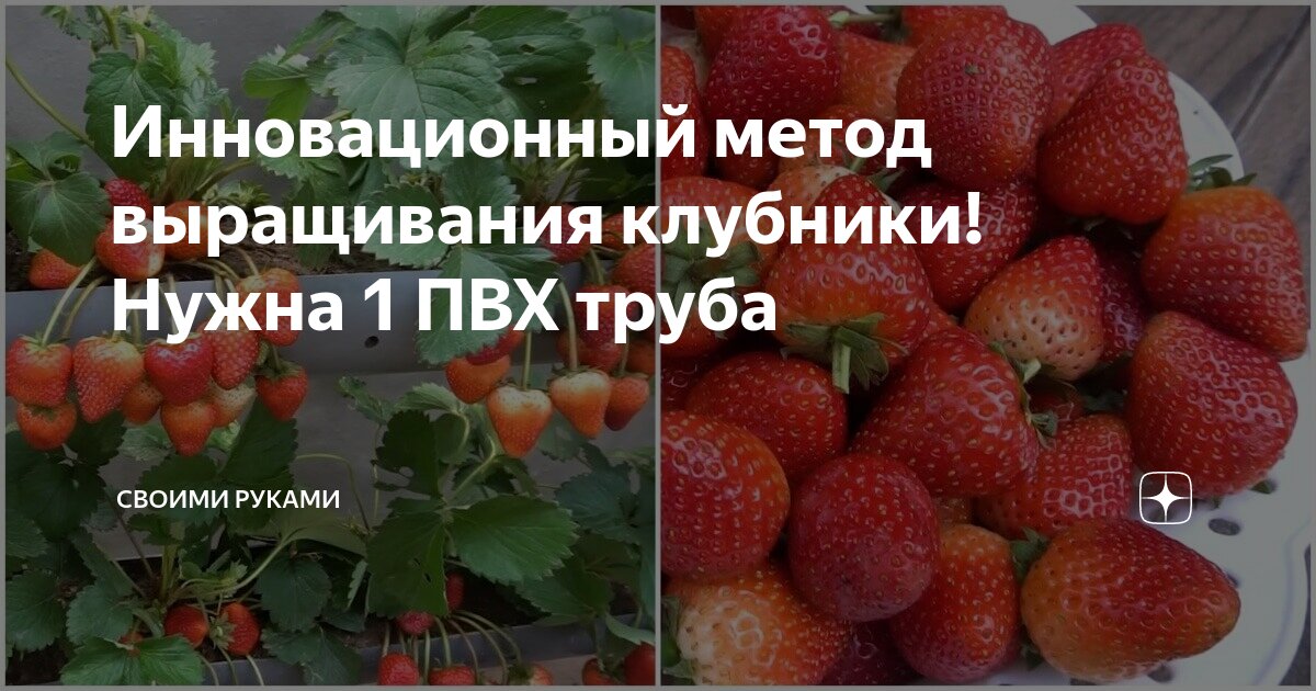 Школьные проекты