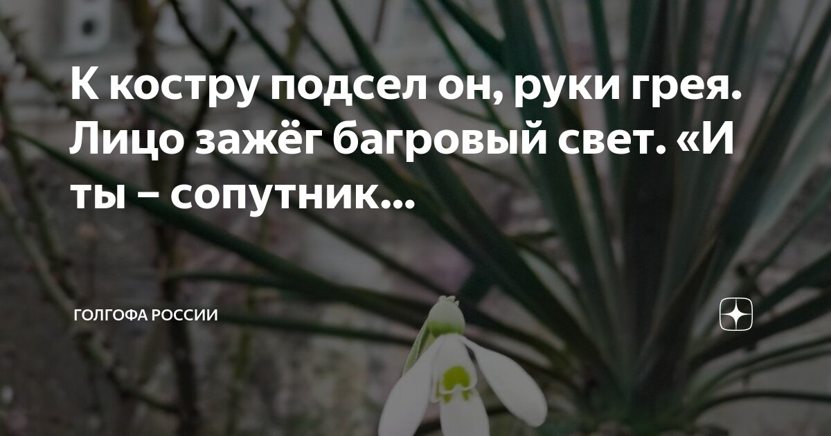 сияние женщины. песня ветер монокини. зажигает свет на гитаре. зажигает свет текст. красота души.