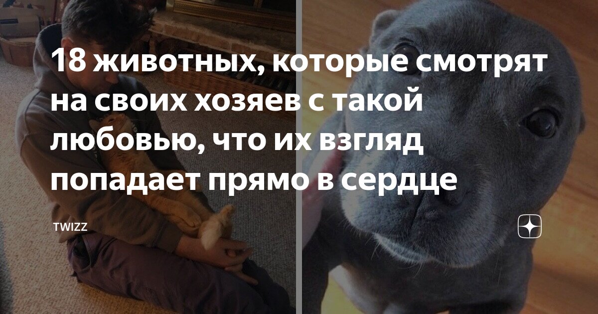 Панические атаки презентация. Может что то такое. Схема что я не могу контролировать. Голос понятие. Может что то такое.