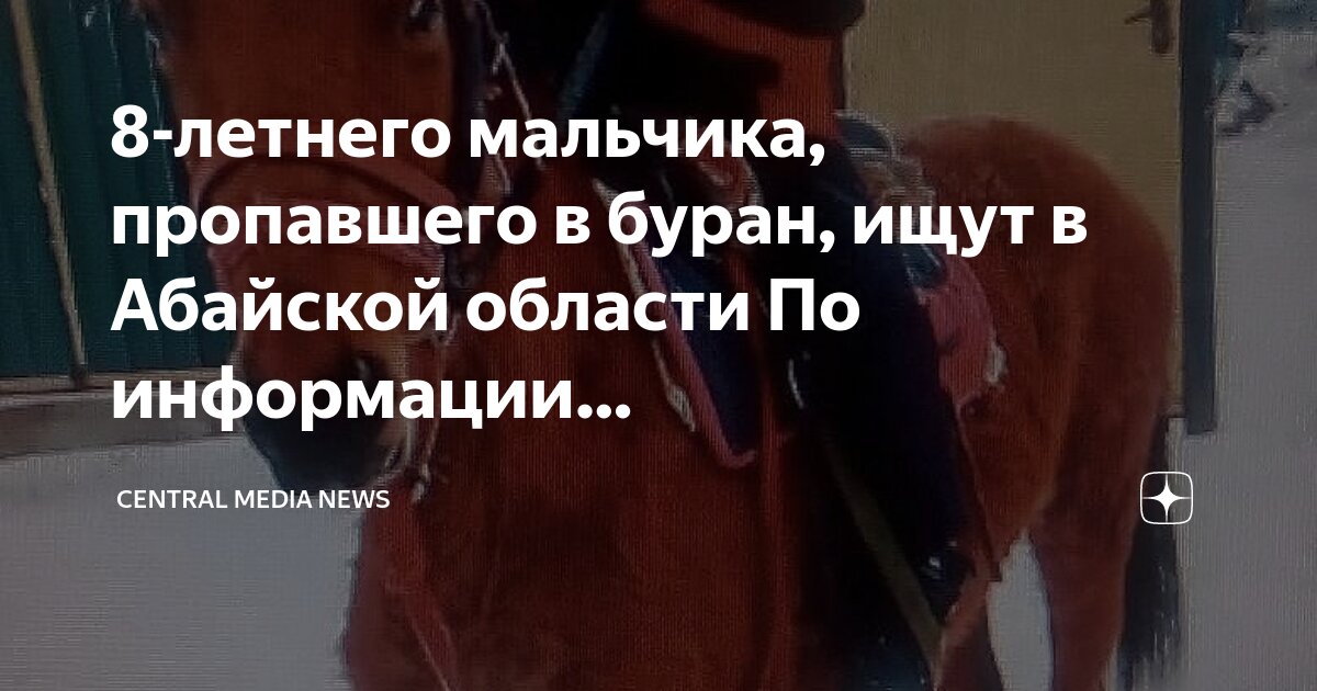 кражи лошадей в московской области. найдена кобыла. найдена кобыла. мордовская лошадка. лошади приморья.