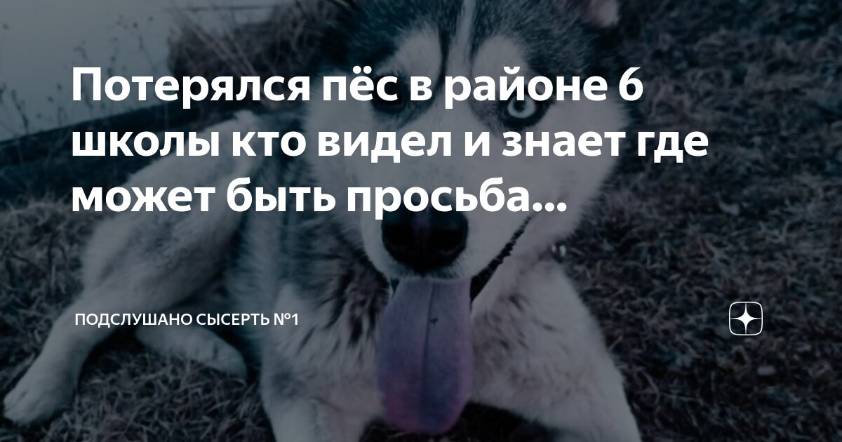 Человек потерялся в лесу. 1 из 3 где можно заблудиться. Путешественник в лесу. Высказывания про лес. Опасности в лесу.