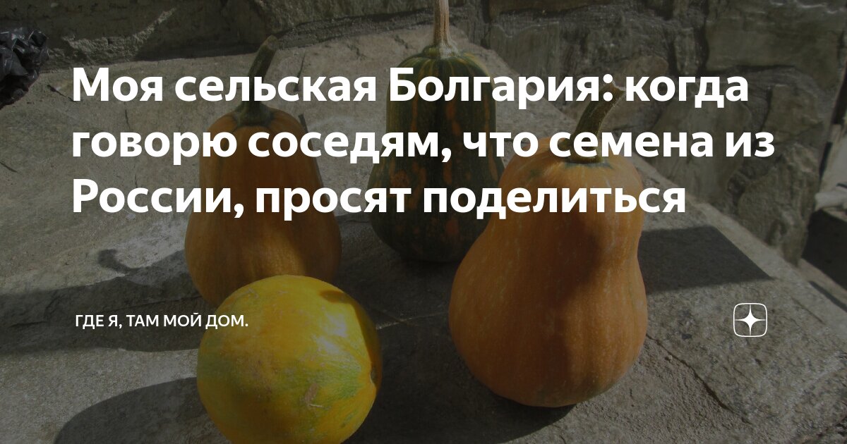 Схема посадки овощных культур таблица. Тыква соседская. Правильное соседство овощей. Соседи тыквы. Соседи тыквы.