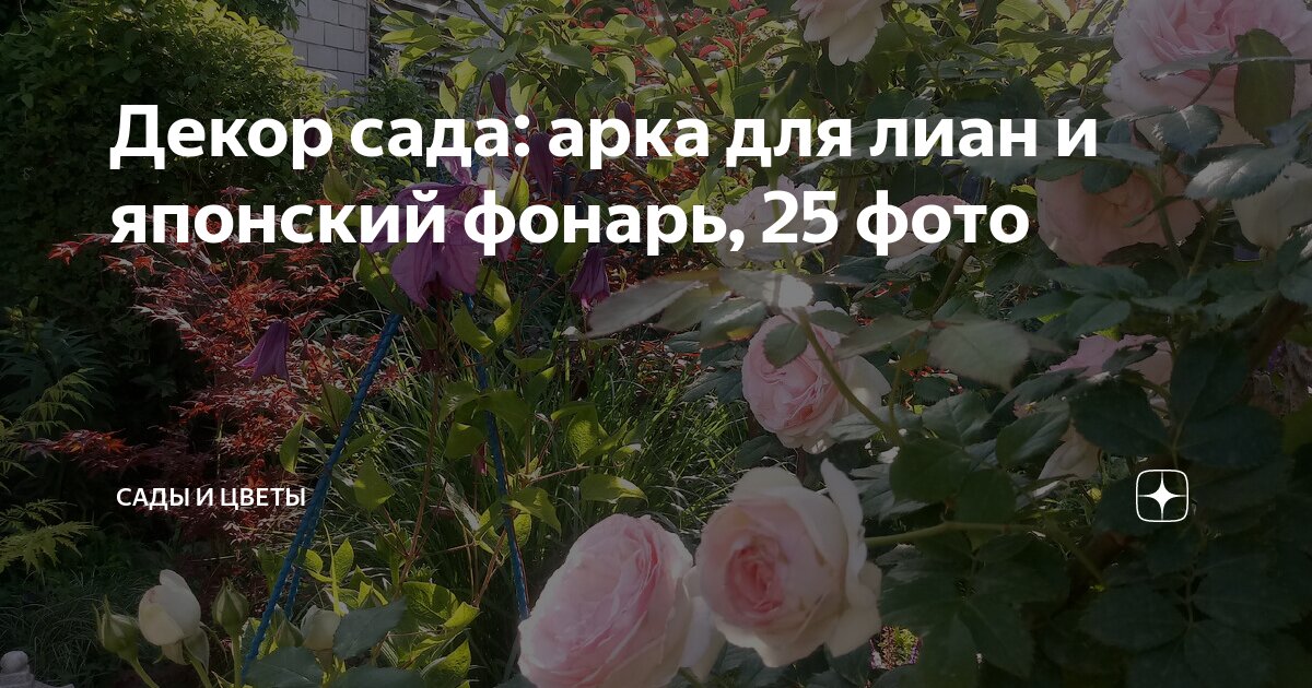 Декор сада: арка для лиан и японский фонарь, 25 фото | Сады и цветы | Дзен