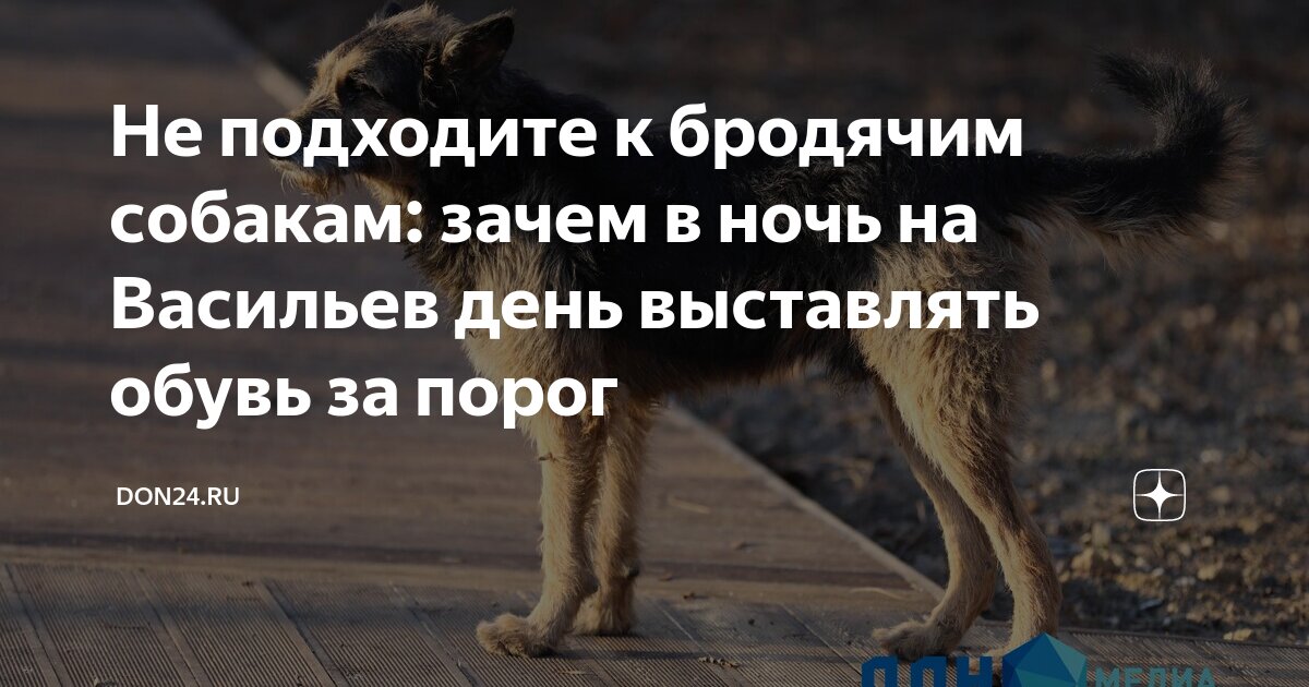 почему автор назвал рассказ плохо ??. играющие собаки рассказ. щенок играется. почему автор назвал играющие собаки. д.