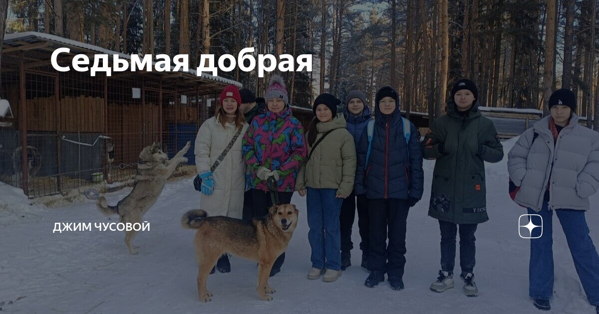 Джим чусовой приют. Приют джим чусовой. Приют джим чусовой. Картинки собака с пушистым хвостом лежит. Коджек собака.