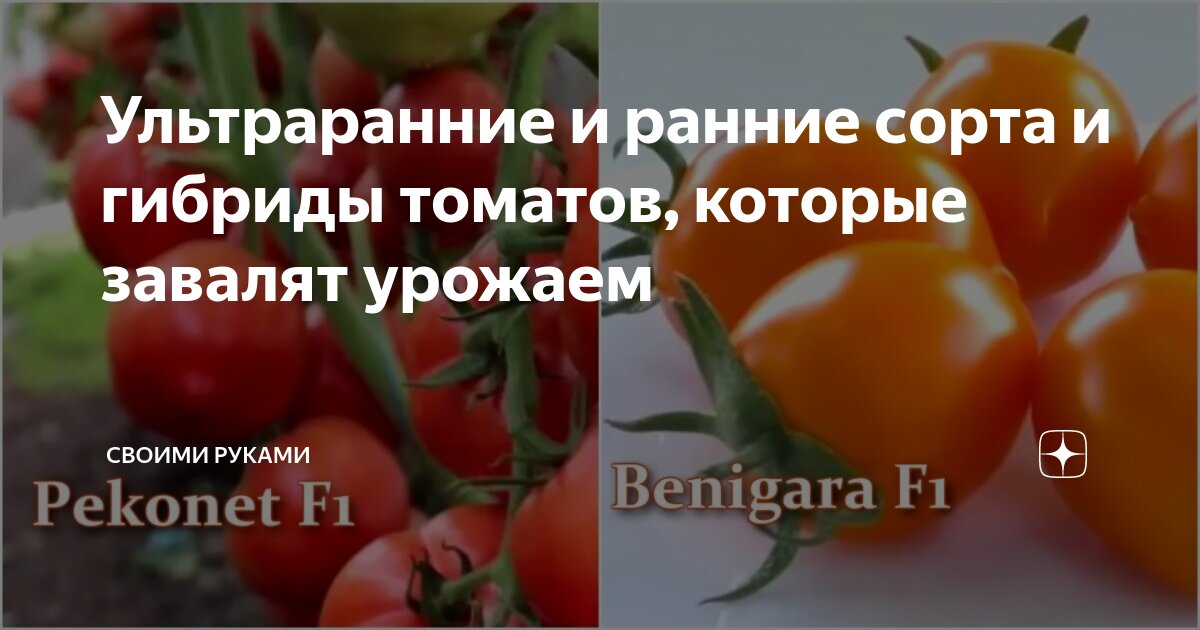 В какие мифы верят российские автомобилисты: эксперт Васильев все объяснил