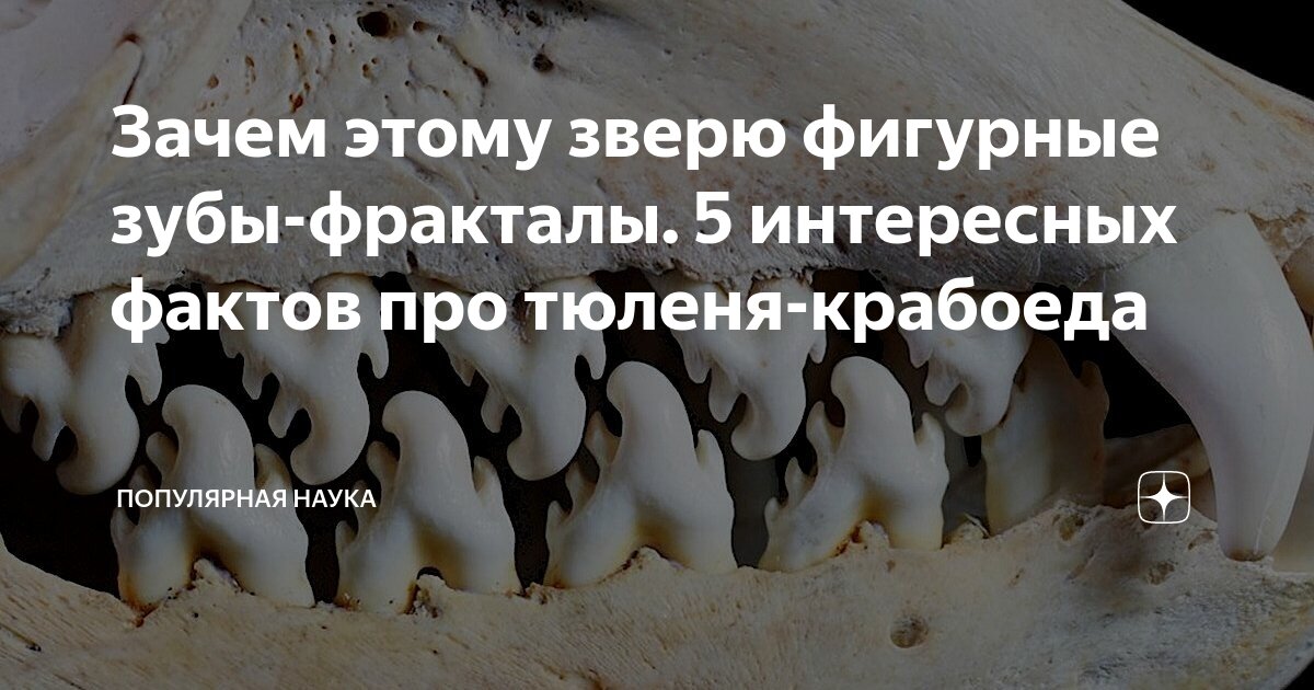 принцесса науки самая известная