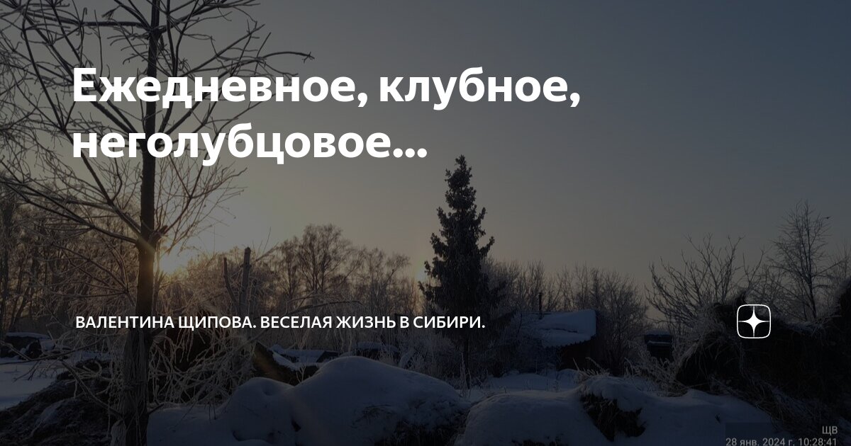 Ежедневное, клубное, неголубцовое... | Валентина Щипова. Веселая жизнь ...
