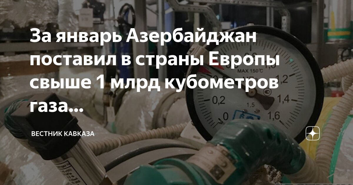 Поставляют на экспорт