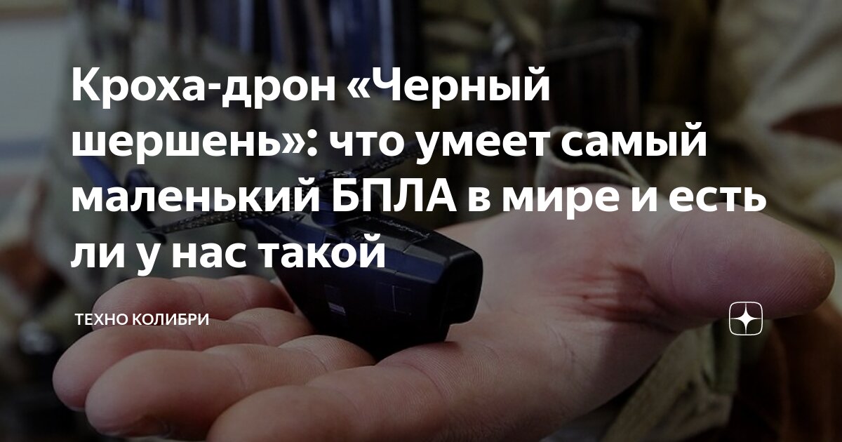 Кроха-дрон «Черный шершень»: что умеет самый маленький БПЛА в мире и ...