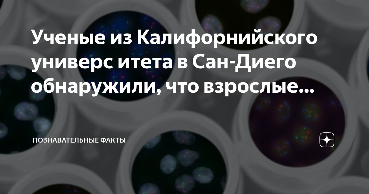 год помощи взрослым