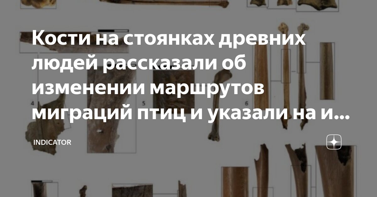 Миграция ученых. Миграция ученых