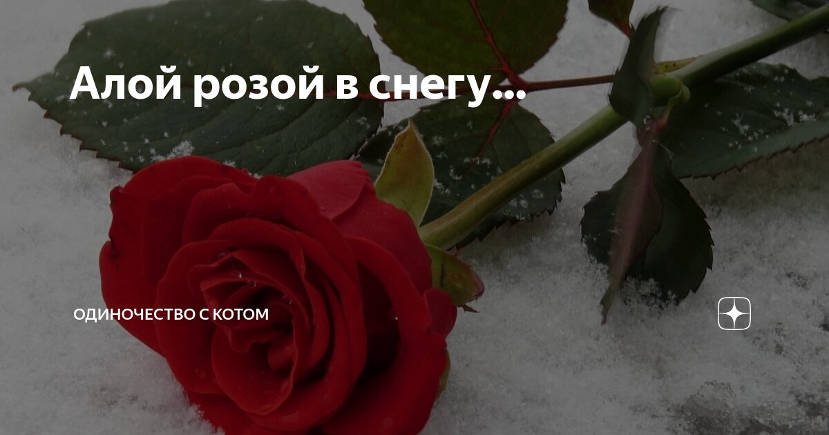 Мне холодно и одиноко. Холодное одиночество. На вершине одиноко цитата. Холодно на душе. Одиночество зимой.