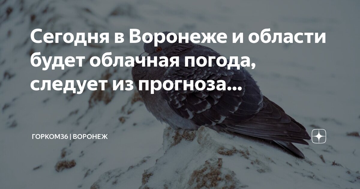 погода воронеж на неделю от гидрометцентра точный. погода в воронеже. Pogoda воронеж. погода воронеж на 5 дней подробно. погода воронеж на неделю от гидрометцентра точный.