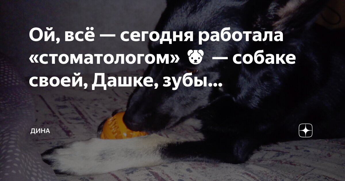 Ты собака. Ой ты собака. Ака сутклая. Ой ты собака. Ой ты собака.