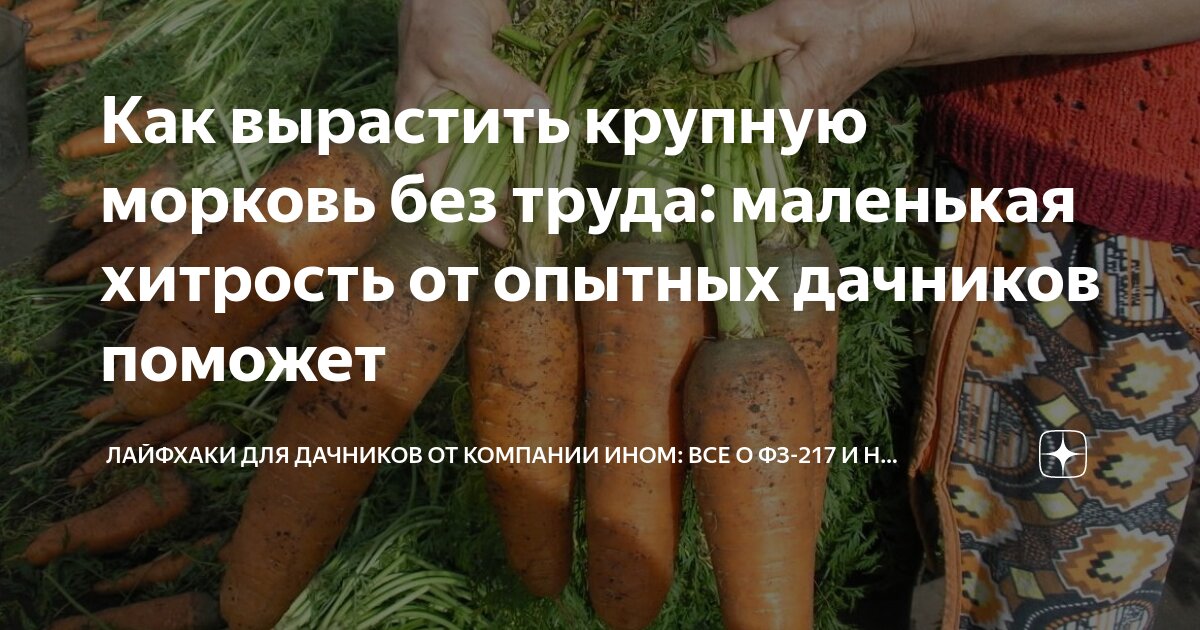 как правильно пить морковный. как правильно пить морковный. морковный сок. свежевыжатый морковный сок. морковный сок.