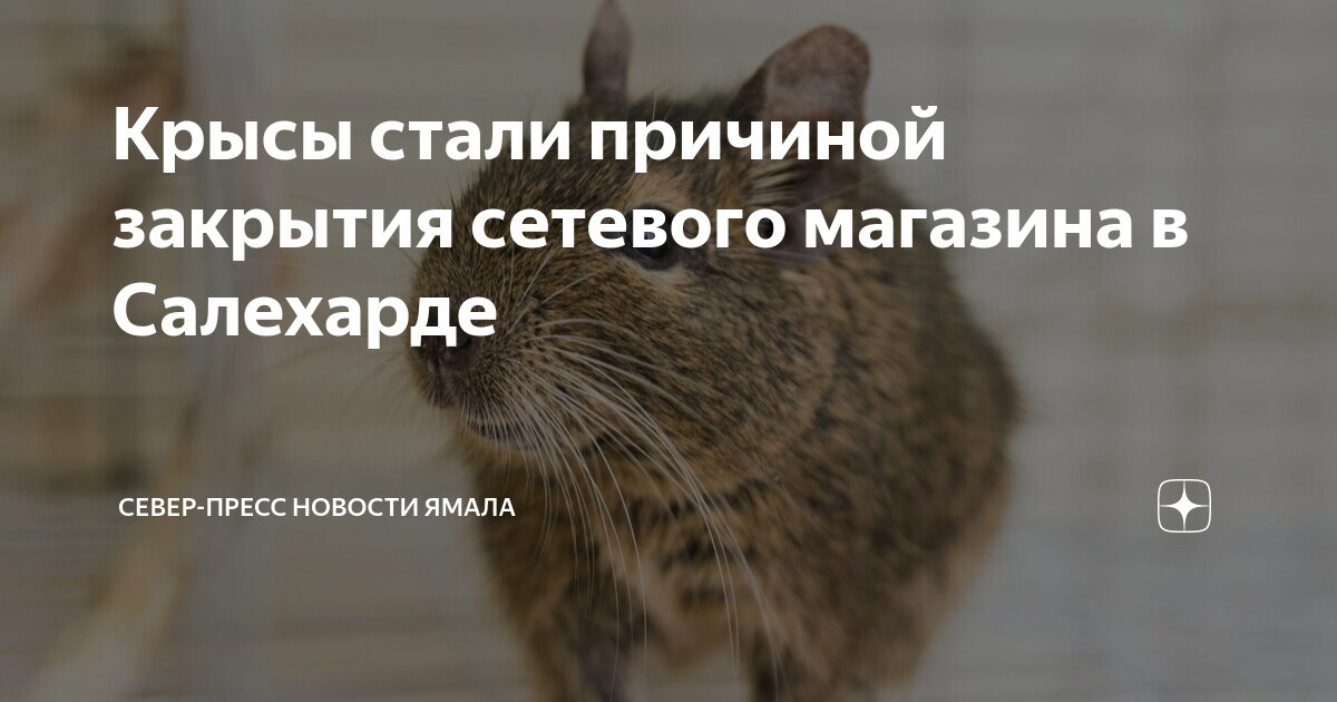 этой причине было решено