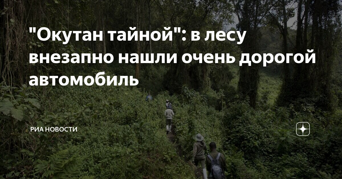 «Здесь лес окутан тайной» — создано в Шедевруме