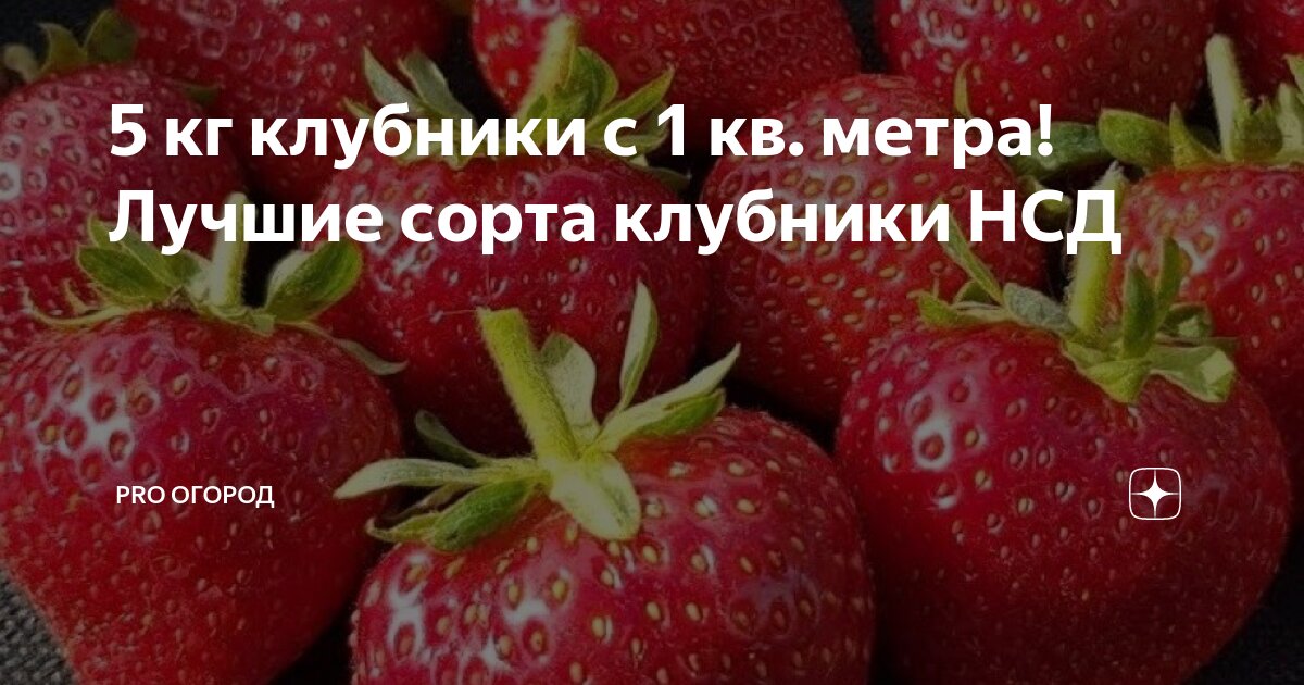 График полива и его особенности