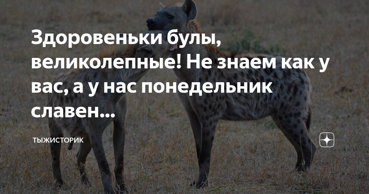 Здоровеньки булы Здоровеньки булы