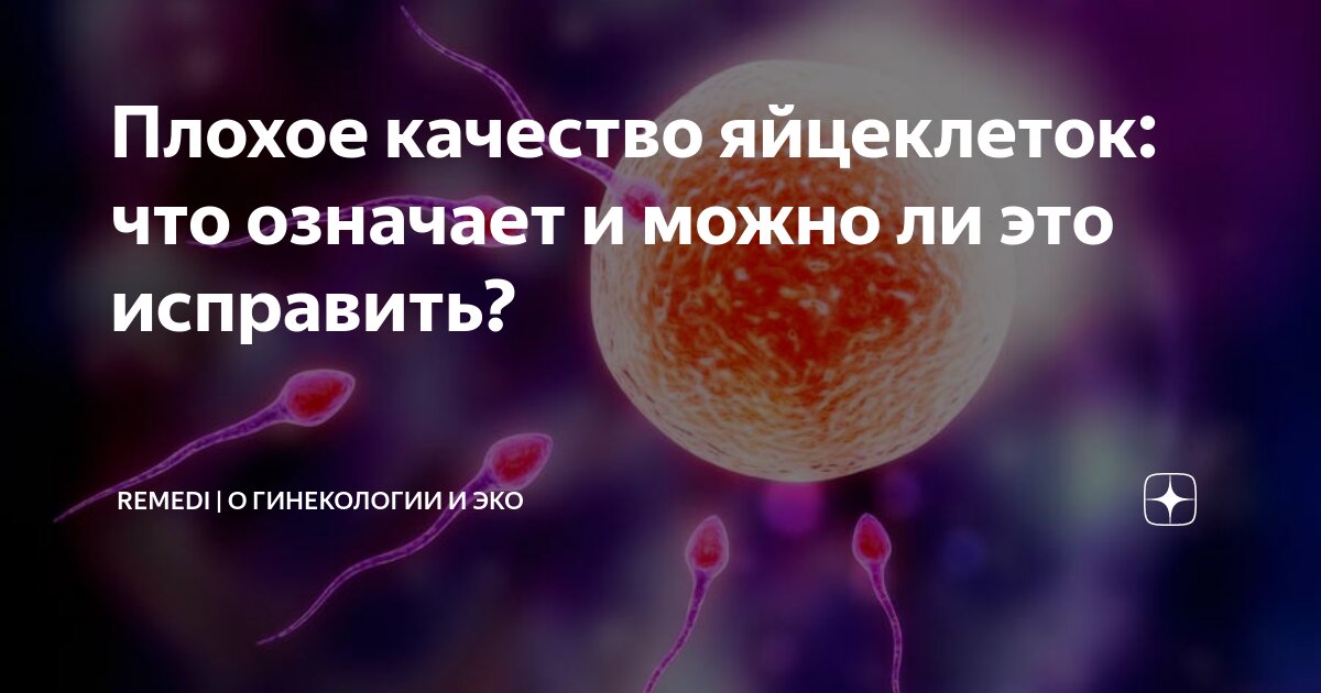 Что влияет на качество ооцитов?