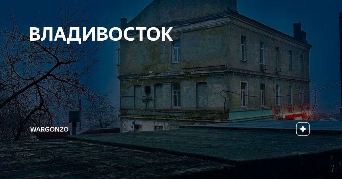 ВЛАДИВОСТОК | WarGonzo | Дзен