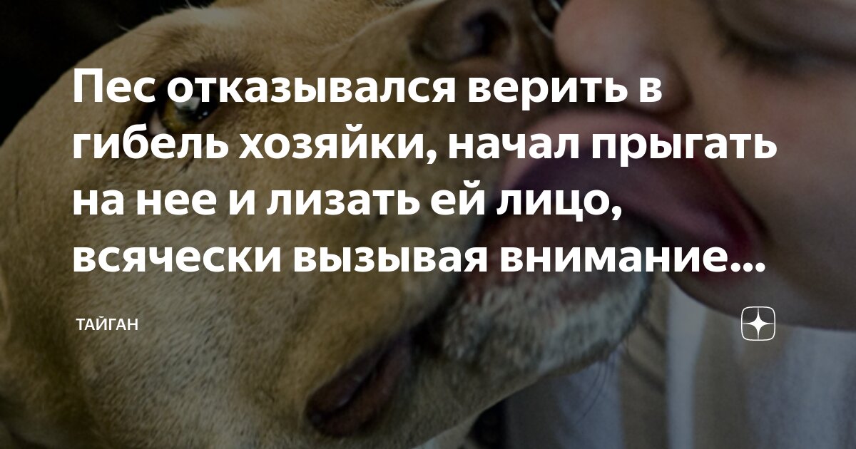 Девушка лишилась конечностей, подхватив инфекцию от домашней собаки - beton-krasnodaru.ru