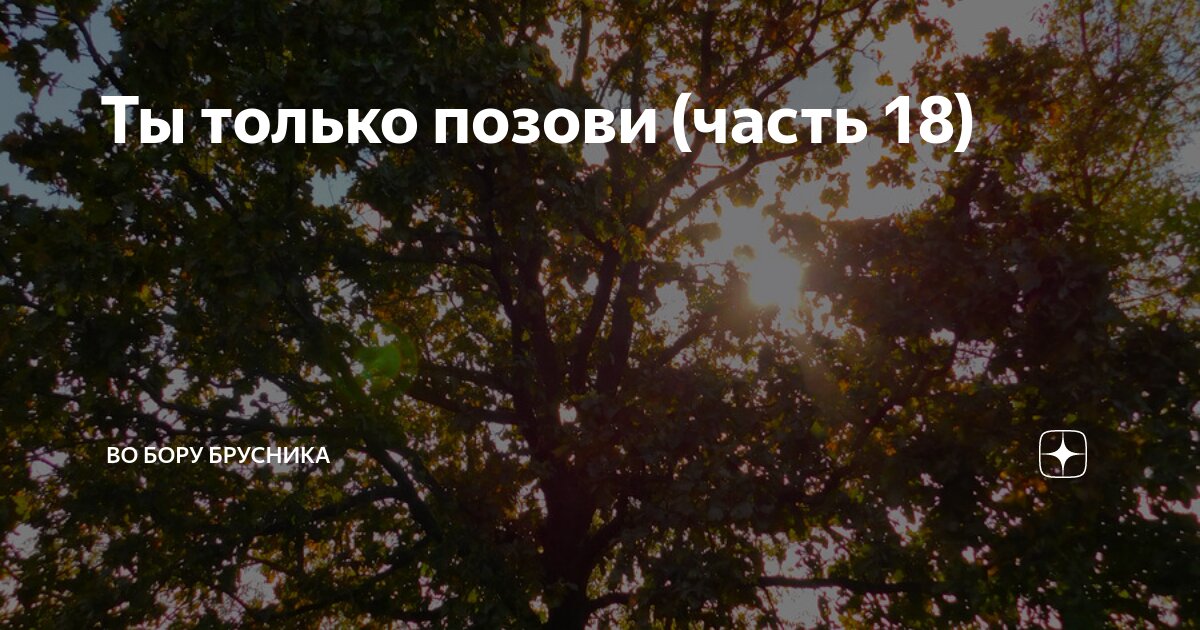 Ты только позови (часть 18) | Брусникины рассказы | Дзен
