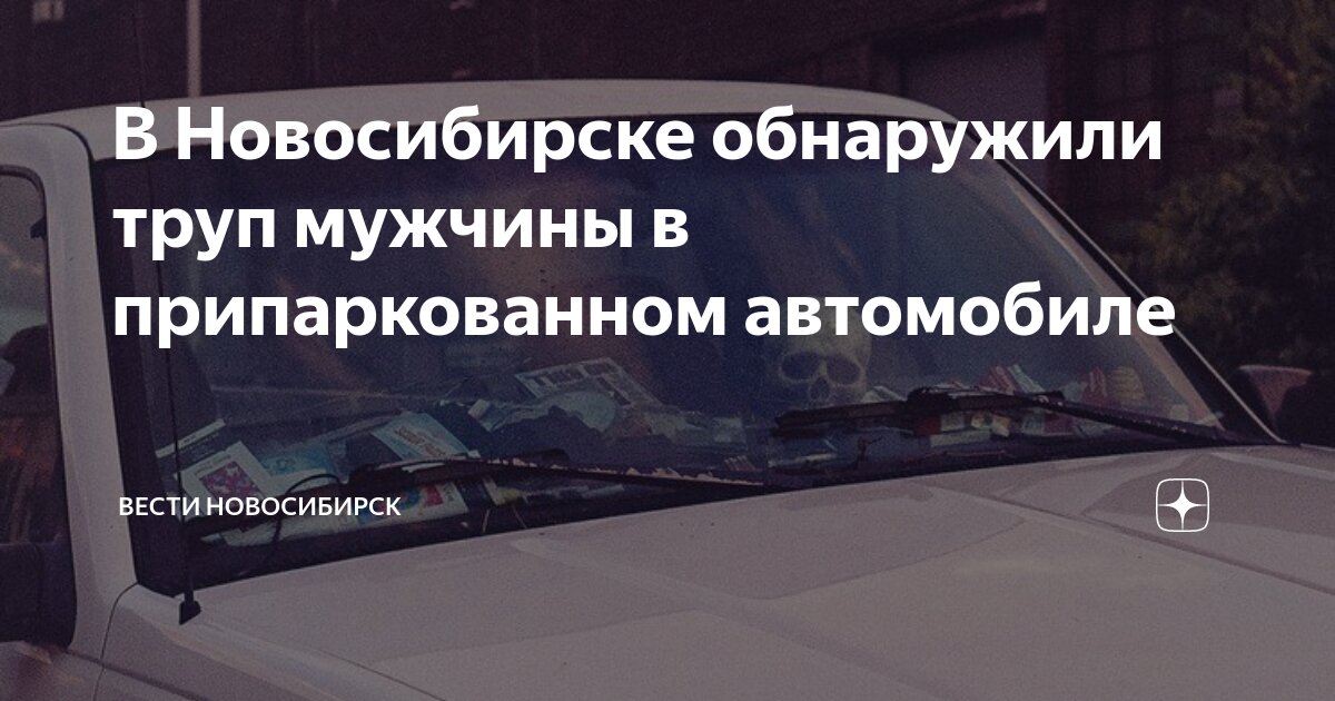 Парней «напрокат» в Новосибирске разобрали за один день