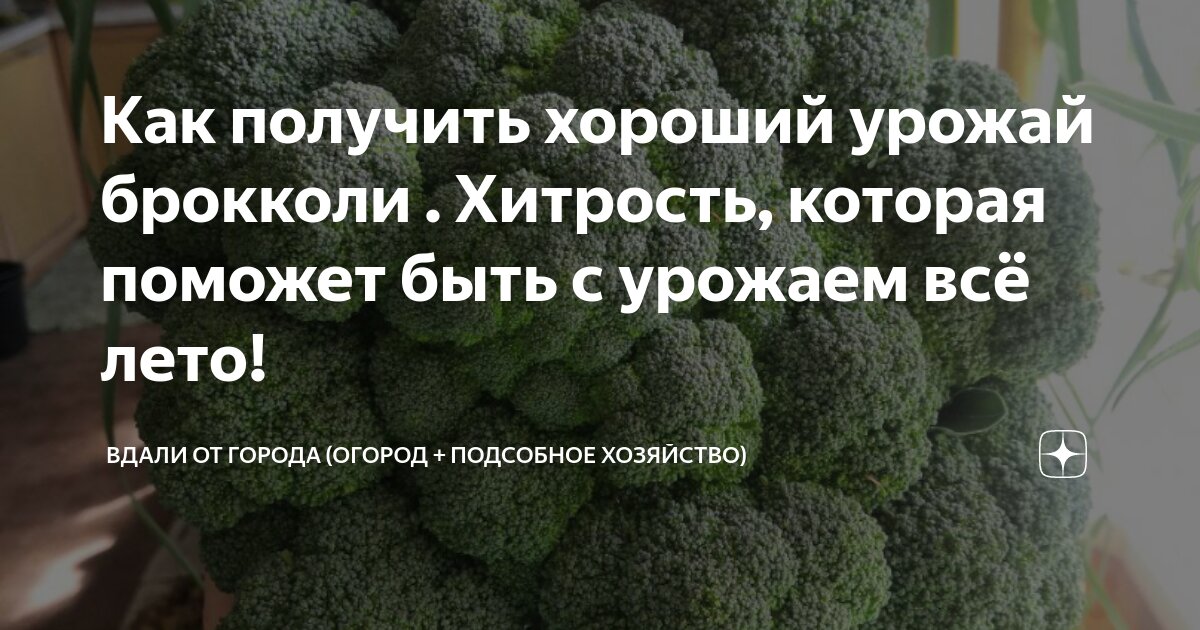Оборудование и инструменты для ухода