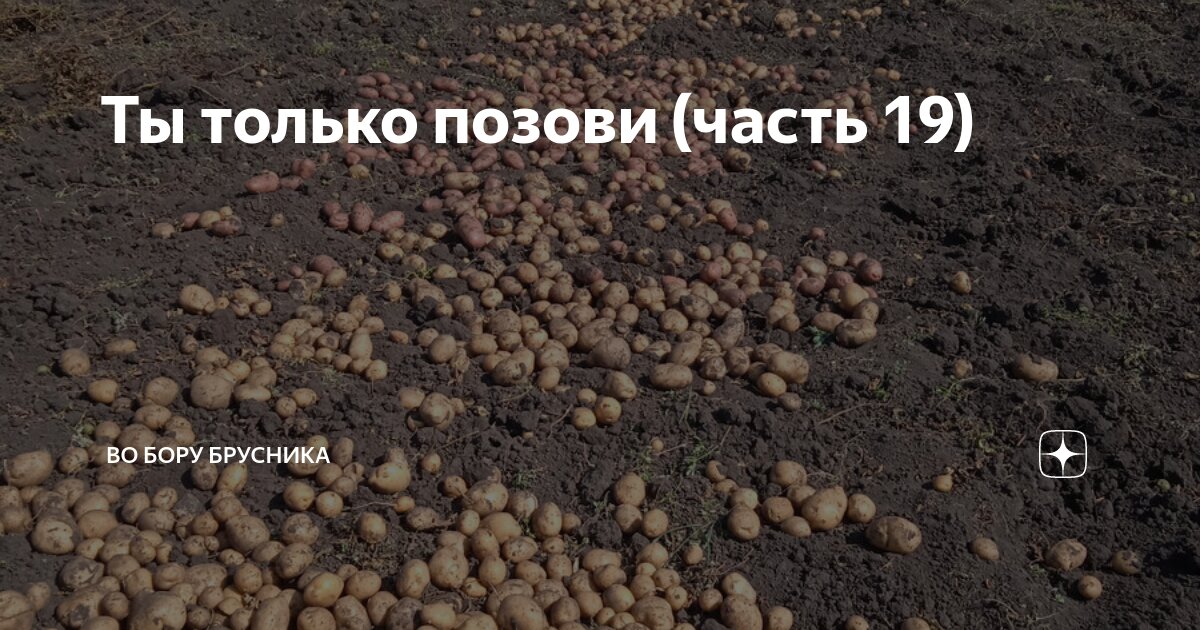 Ты только позови (часть 19) | Брусникины рассказы | Дзен
