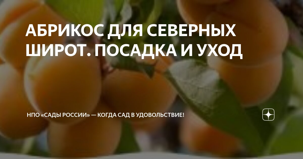 Подбор оптимального места для посадки