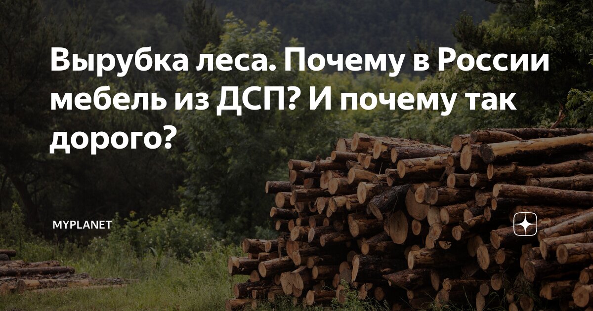 вырубка статья. 8 коап. вырубка лесов сообщение. незаконная порубка и повреждение деревьев кустарников относятся. вырубка лесов экологическая проблема.