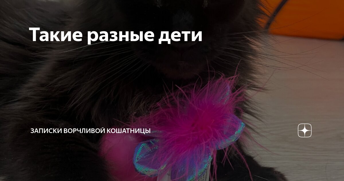 Записки ворчливой кошатницы. Ворчливой кошатницы дзен. Ворчливой кошатницы дзен. Ворчливой кошатницы дзен. Записки ворчливой кошатницы дзен.