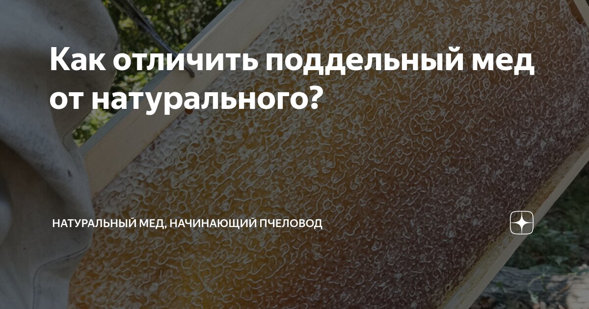 Все про мед: состав натурального меда, условия хранения, как распознать и отличить от подделки