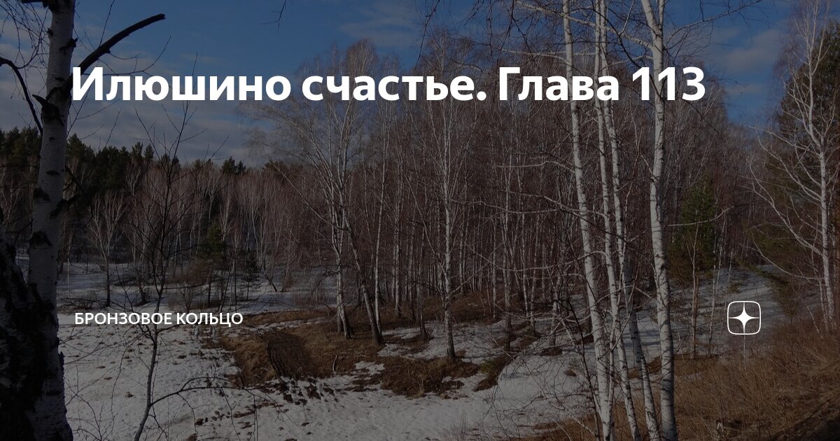 Илюшкино счастье бронзовое кольцо глава 95. Вербенов цвет кольцо бронза. Shinji nakaba ювелир. Илюшкино счастье бронзовое кольцо глава 95. Средневековые кольца с камнями.