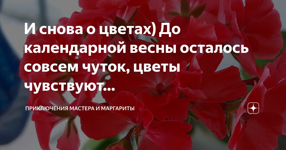 Что чувствует бывший. Высказывания про чувства и эмоции. Ваша жена доминирует над вами. Что чувствует бывший. Представь цитаты.